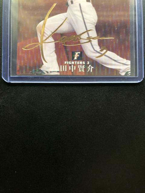 QOPOJr[싅Qe/S-PRE{nt@C^[YEcmTCpŁn  g[fBOJ[h 