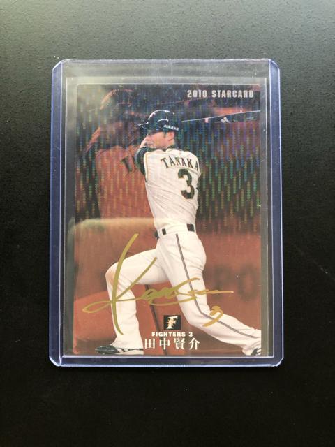 QOPOJr[싅Qe/S-PRE{nt@C^[YEcmTCpŁn  g[fBOJ[h 