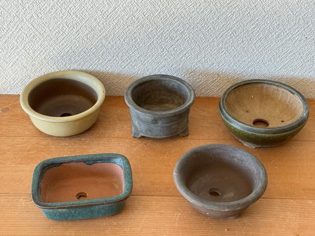 H 盆栽鉢 豆盆栽鉢 山野草鉢 多肉植物鉢 植木鉢 5鉢セット陶器製 落款印あり < ペット/手芸/園芸 H 盆栽鉢 豆盆栽鉢 山野草鉢 多肉植物鉢 植木鉢 5鉢セット陶器製 落款印あり < ペット/手芸/園芸の