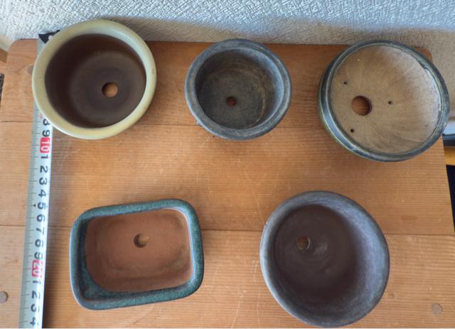 H 盆栽鉢 豆盆栽鉢 山野草鉢 多肉植物鉢 植木鉢 5鉢セット陶器製 落款印あり < ペット/手芸/園芸 H 盆栽鉢 豆盆栽鉢 山野草鉢 多肉植物鉢 植木鉢 5鉢セット陶器製 落款印あり < ペット/手芸/園芸の