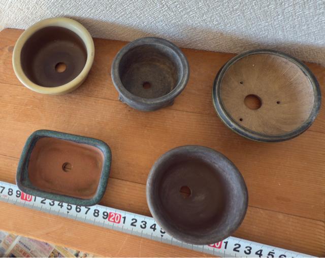 H 盆栽鉢 豆盆栽鉢 山野草鉢 多肉植物鉢 植木鉢 5鉢セット陶器製 落款印あり < ペット/手芸/園芸 H 盆栽鉢 豆盆栽鉢 山野草鉢 多肉植物鉢 植木鉢 5鉢セット陶器製 落款印あり < ペット/手芸/園芸の