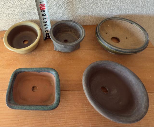 H 盆栽鉢 豆盆栽鉢 山野草鉢 多肉植物鉢 植木鉢 5鉢セット陶器製 落款印あり < ペット/手芸/園芸 H 盆栽鉢 豆盆栽鉢 山野草鉢 多肉植物鉢 植木鉢 5鉢セット陶器製 落款印あり < ペット/手芸/園芸の