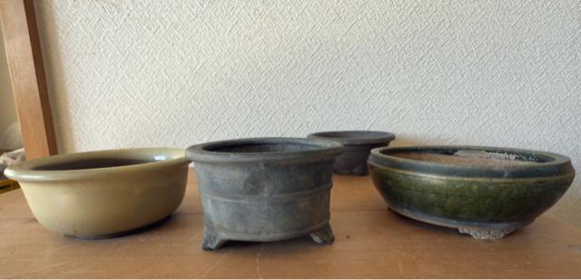 H 盆栽鉢 豆盆栽鉢 山野草鉢 多肉植物鉢 植木鉢 5鉢セット陶器製 落款印あり < ペット/手芸/園芸 H 盆栽鉢 豆盆栽鉢 山野草鉢 多肉植物鉢 植木鉢 5鉢セット陶器製 落款印あり < ペット/手芸/園芸の