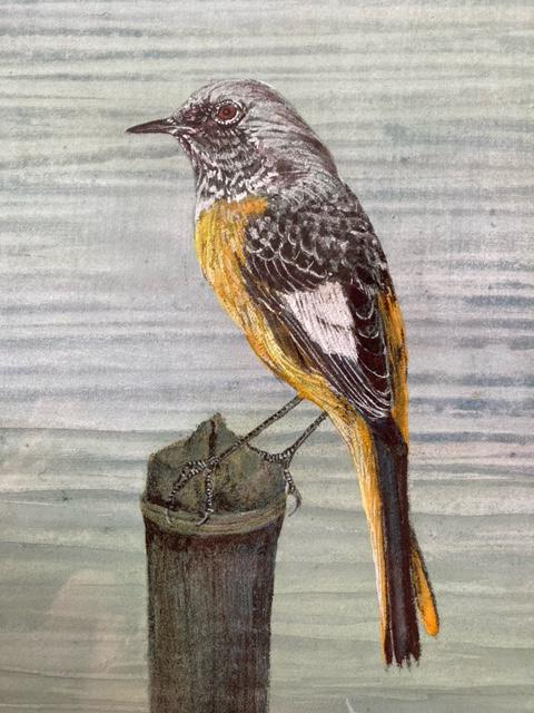 G { ÔV wӁx ^ۏ   zr[ 