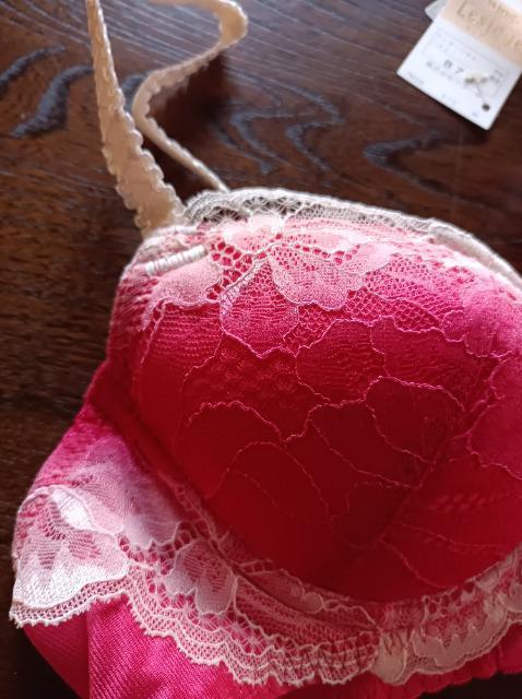 C.Lesiage★Wacoal★新品タグ付き★ブラ★素敵綺麗★レシアージュ★ワコール★半額以下★送料無料★ < 女性ファッション  C.Lesiage★Wacoal★新品タグ付き★ブラ★素敵綺麗★レシアージュ★ワコール★半額以下★送料無料★ < 女性ファッションの
