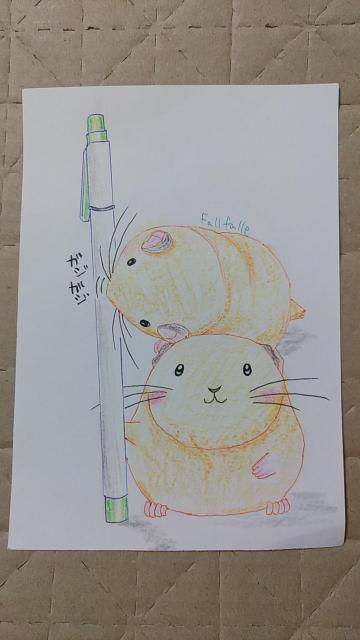 ����C���X�g�@�O���f�B�@����  �� �A�j��/�R�~�b�N/�L�����N�^�[�� 