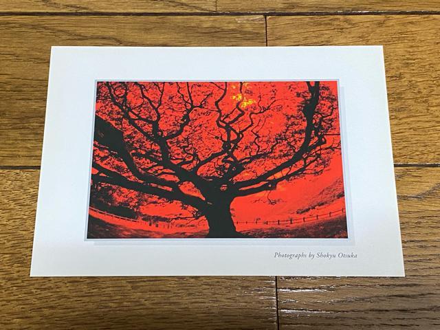 沖縄ポストカード☆10 < ホビー  沖縄ポストカード☆10  < ホビーの