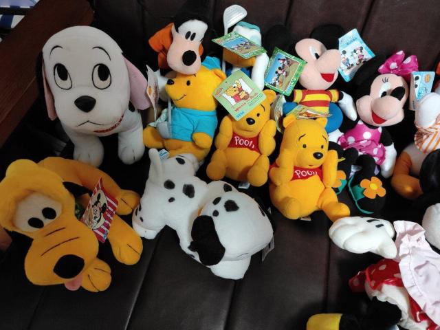 SEGA ZK fBYj[ t@^W[A~[Y ʂ g 19 RNV AeB[N ~bL[ ~j[   