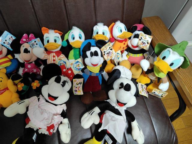 SEGA ZK fBYj[ t@^W[A~[Y ʂ g 19 RNV AeB[N ~bL[ ~j[   