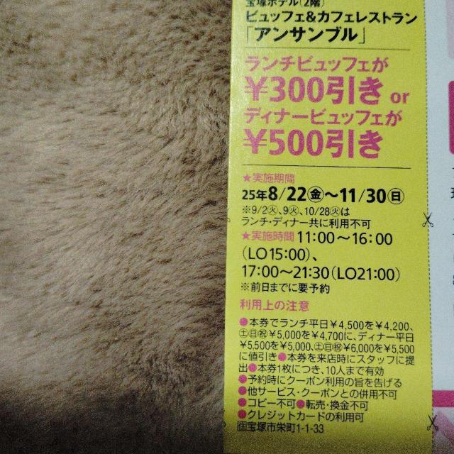 宝塚ホテルアンサンブル ランチビュッフェ、ディナービュッフェ < チケット/金券 宝塚ホテルアンサンブル ランチビュッフェ、ディナービュッフェ < チケット/金券の