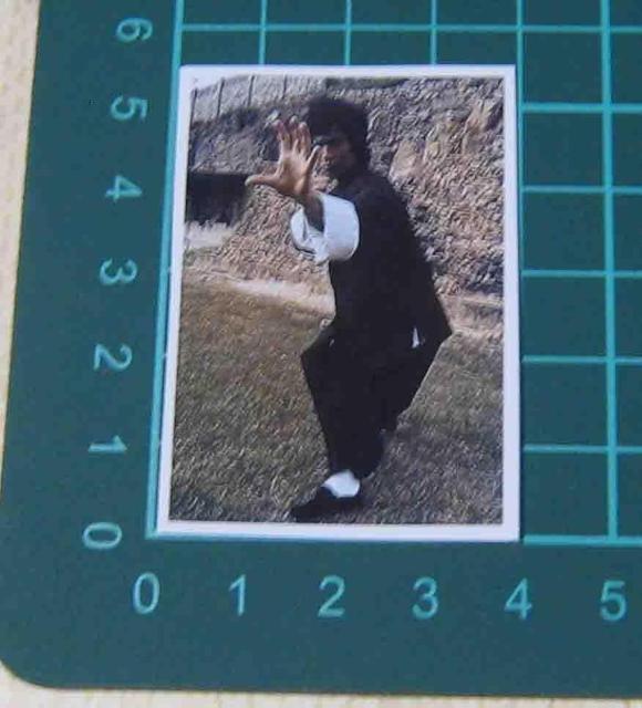 �u���[�X�E���[�@�h���S���@ �X�e�b�J�[  �S���Z�b�g �� �z�r�[�� 