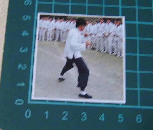 �u���[�X�E���[�@�h���S���@ �X�e�b�J�[  �S���Z�b�g �� �z�r�[�� 