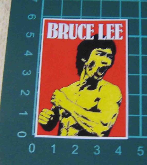 �u���[�X�E���[�@�h���S���@ �X�e�b�J�[  �S���Z�b�g �� �z�r�[�� 