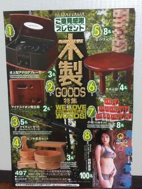 ヤングマガジン  佐野夏芽テレホンカード2枚セット < タレントグッズ  ヤングマガジン  佐野夏芽テレホンカード2枚セット < タレントグッズの