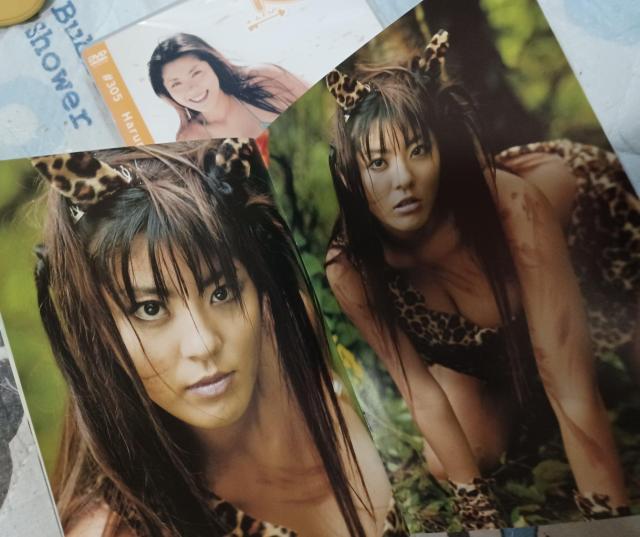 ☆ルーム.ナンバー305 ☆根本はるみ ☆ショッキング マーメイド < タレントグッズ ☆ルーム.ナンバー305 ☆根本はるみ ☆ショッキング マーメイド < タレントグッズの