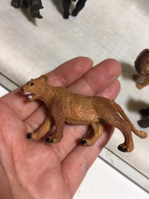 ◆動物フィギュア3 < ホビー  ◆動物フィギュア3 < ホビーの