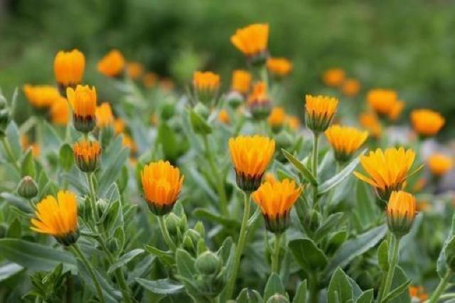 マドンナのアルバムベッドタイムストーリーズ、+選べる粗品プレゼント!安心匿名の全国送料無料です! < CD/DVD/ビデオ  マドンナのアルバムベッドタイムストーリーズ、+選べる粗品プレゼント!安心匿名の全国送料無料です! < CD/DVD/ビデオの