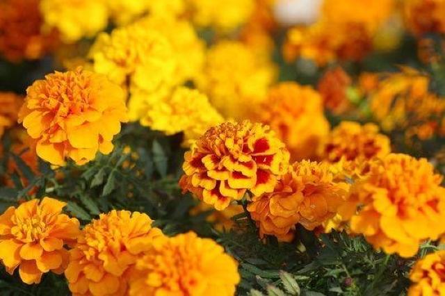 マドンナのアルバムベッドタイムストーリーズ、+選べる粗品プレゼント!安心匿名の全国送料無料です! < CD/DVD/ビデオ  マドンナのアルバムベッドタイムストーリーズ、+選べる粗品プレゼント!安心匿名の全国送料無料です! < CD/DVD/ビデオの