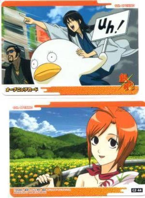 �⍰'���肠�󁚃g���J�@�I�[�v�j���O�J�[�h�@C2-44 