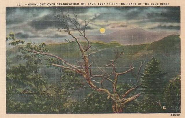 Âǂ̃AJ |XgJ[h 3yd-9z  zr[ 