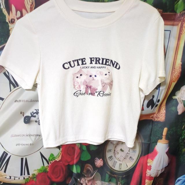 9�_�Z�b�g ���� �w�ǐV�i ���g�p�ł� �� �L�b�Y/�x�r�[�� 