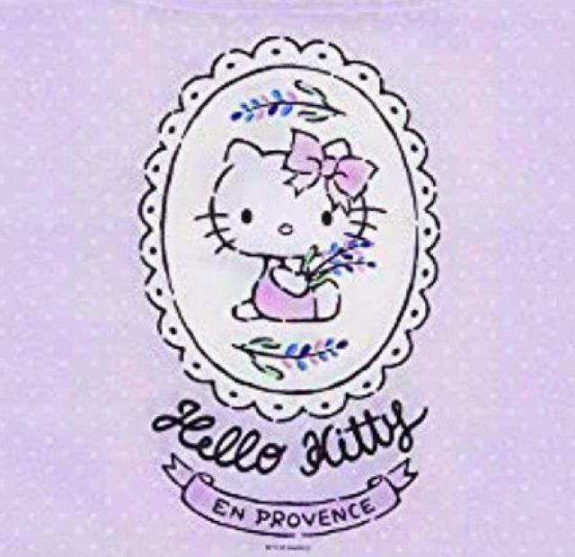 GRobO@n[LeB@VbsOobN@HELLO KITTY@XP[^[@size ʐ^XɋL   