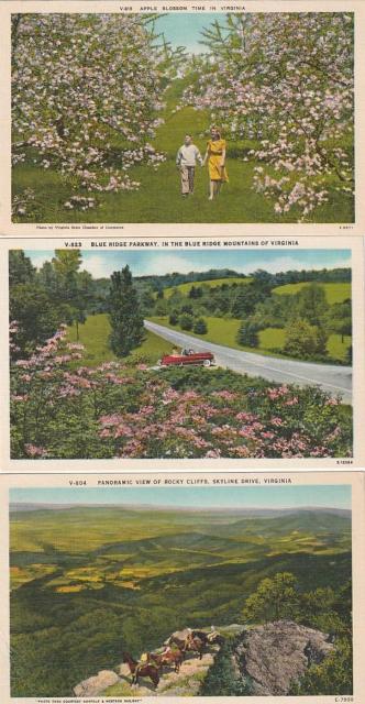 Âǂ̃AJ |XgJ[h 3yd-10z   zr[ 