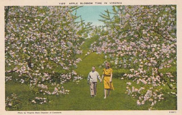 Âǂ̃AJ |XgJ[h 3yd-10z  zr[ 