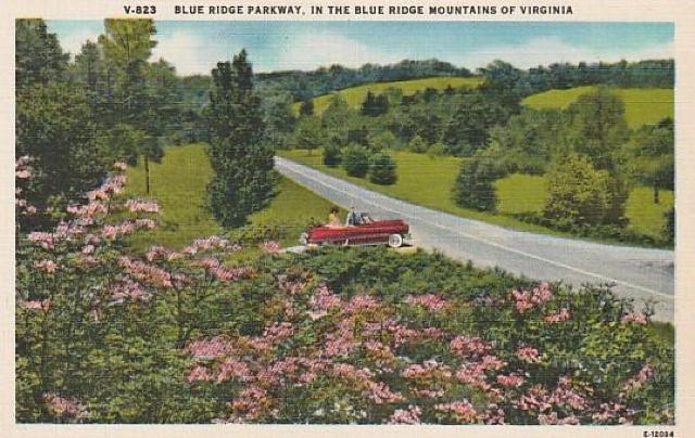 Âǂ̃AJ |XgJ[h 3yd-10z  zr[ 