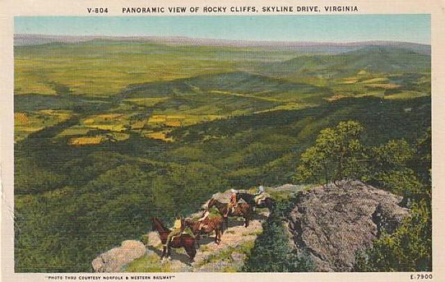 Âǂ̃AJ |XgJ[h 3yd-10z  zr[ 