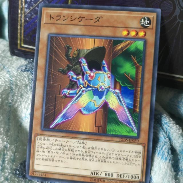 遊戯王 トランシケーダ < トレーディングカード  遊戯王 トランシケーダ  < トレーディングカードの