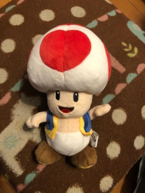 スーパーマリオ キノピオ  ぬいぐるみ < ホビー  スーパーマリオ キノピオ  ぬいぐるみ  < ホビーの