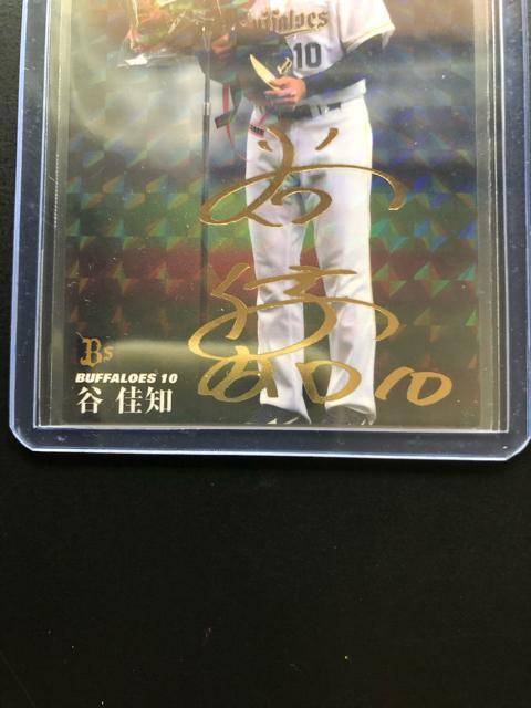 QOPUJr[싅Pe/k- 2EIbNXot@[YEJmmWGhރJ|hTCpŃJ|hn  g[fBOJ[h 