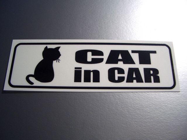 CAT IN CARXebJ[ ELĂ܂   ybg/|/| 