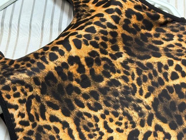 VvȃfUC̕^vgnCOJbgI^[h