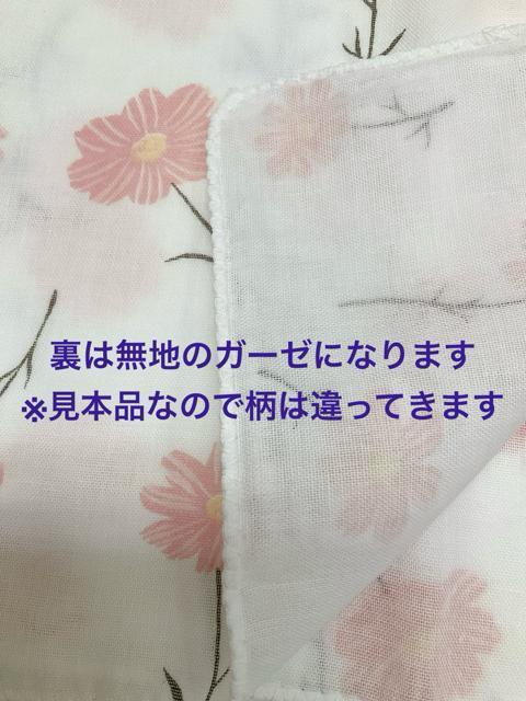 K[[ʂ y敗 sNz nJ` 2dK[[   Ђ|  COyY Vi {  CeA/Ct 