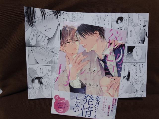 BL[tbgty~]̌z˂˂ 