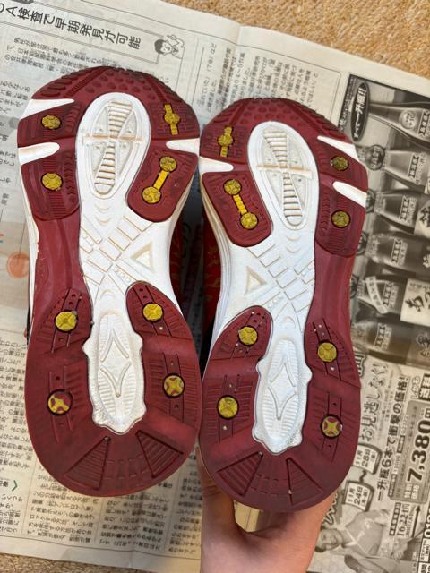 LbY^{[CYXj[J[^23.5p  LbY/xr[ 