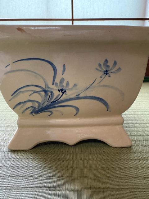 ���퐻�p���@��23cm �� �y�b�g/��|/���|�� 