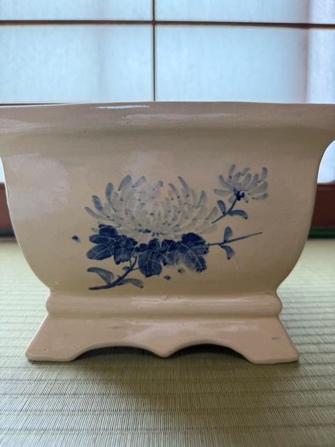 ���퐻�p���@��23cm �� �y�b�g/��|/���|�� 