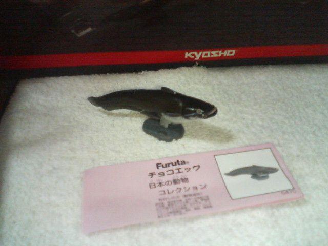 �t���^ ���{�̓����R���N�V����  �N���V�b�N  �r���R�I�I�i�}�Y  �� �z�r�[�� 