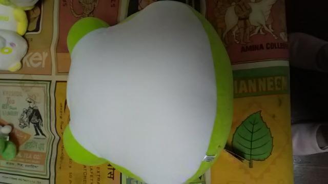 AAA・え〜パンダ・もっちりフェイスクッション・緑 浦田 < タレントグッズ AAA・え〜パンダ・もっちりフェイスクッション・緑 浦田 < タレントグッズの