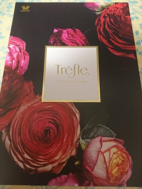 Wacoal/ワコール/Trefle/トレフル/2017年/秋冬カタログパンフレット < 女性ファッション  Wacoal/ワコール/Trefle/トレフル/2017年/秋冬カタログパンフレット  < 女性ファッションの