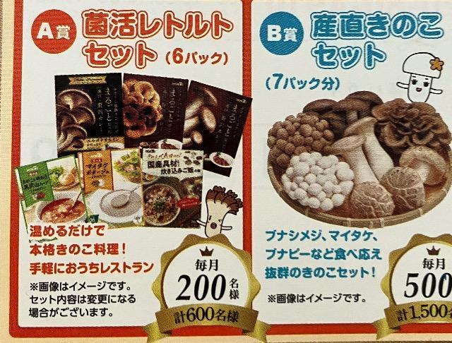 きのこ7パックセット/レトルト6パックセット/2100名様5口 < チケット/金券 きのこ7パックセット/レトルト6パックセット/2100名様5口 < チケット/金券の