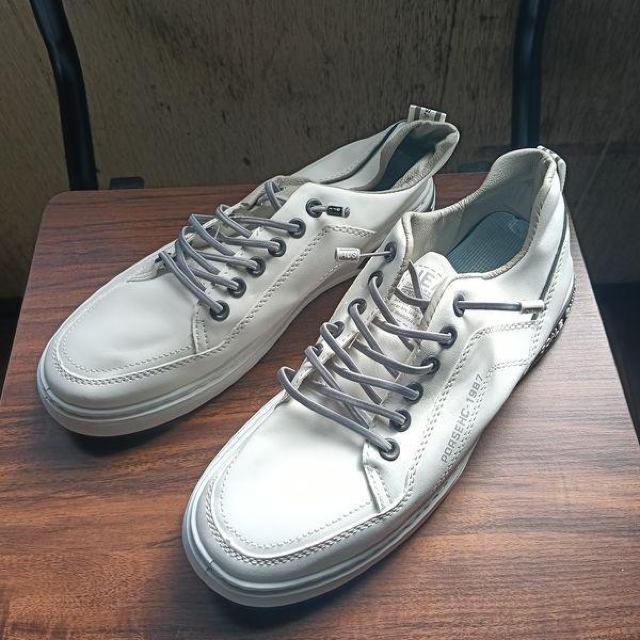 �V�i 24.5cm ���f�B�[�X �X�j�[�J�[ �z���C�g �V���[�Y �C �J�W���A��  �� �����t�@�b�V������ 