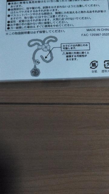 リゾートステラルーカラビナ < インテリア/ライフ リゾートステラルーカラビナ < インテリア/ライフの