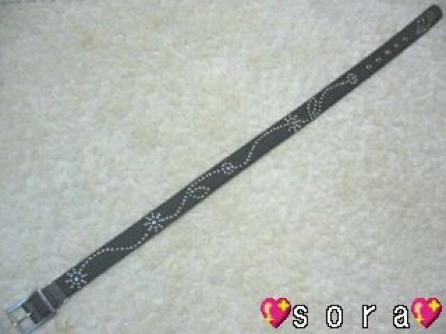 _[WّfށX^bYRbgxg  jt@bV 