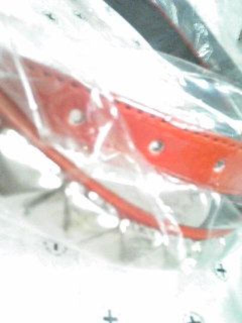 新品◆1連鋲ベルト◆スタッズ◆PUNKS◆RD◆男女兼用◆ < 女性ファッション 新品◆1連鋲ベルト◆スタッズ◆PUNKS◆RD◆男女兼用◆ < 女性ファッションの
