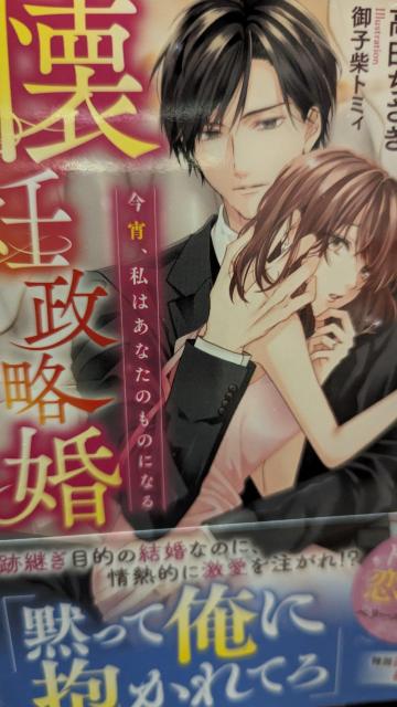 エリート御曹司に愛で尽くされる懐妊政略婚★高田ちさき★ベリーズ文庫 < 本/雑誌 エリート御曹司に愛で尽くされる懐妊政略婚★高田ちさき★ベリーズ文庫 < 本/雑誌の