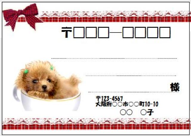 ���P�X�R(�����V�[��)�W�����e�B�[�J�b�v���������  �� �C���e���A/���C�t�� 